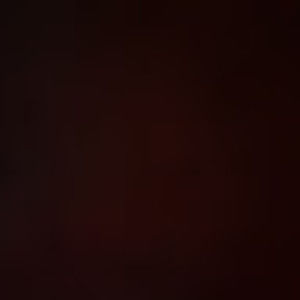 Meet your Posher, Toast